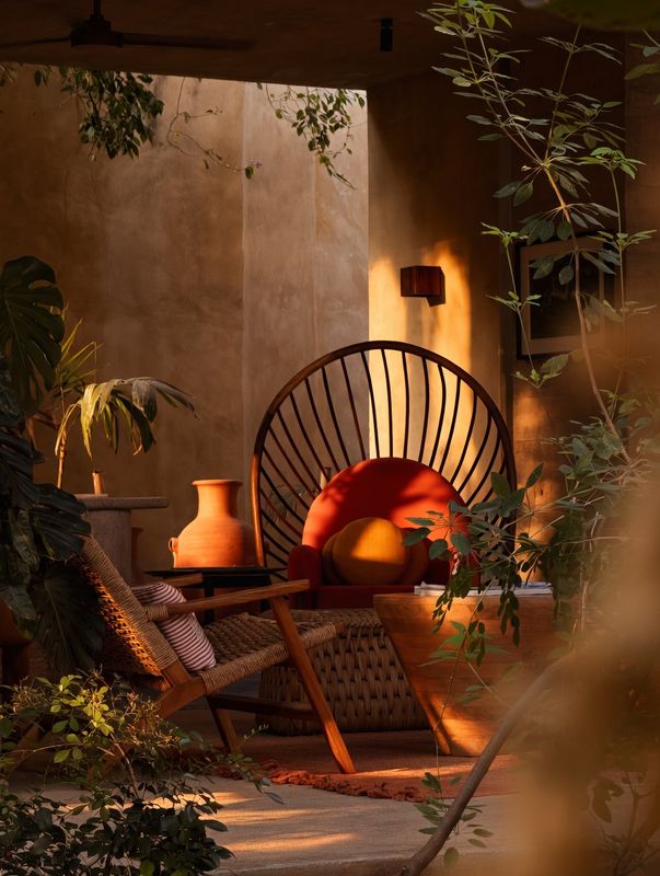 Peacock chair vignette in evening light