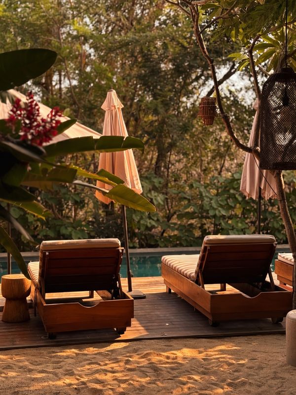 Loungers by the pool through the jungle planting